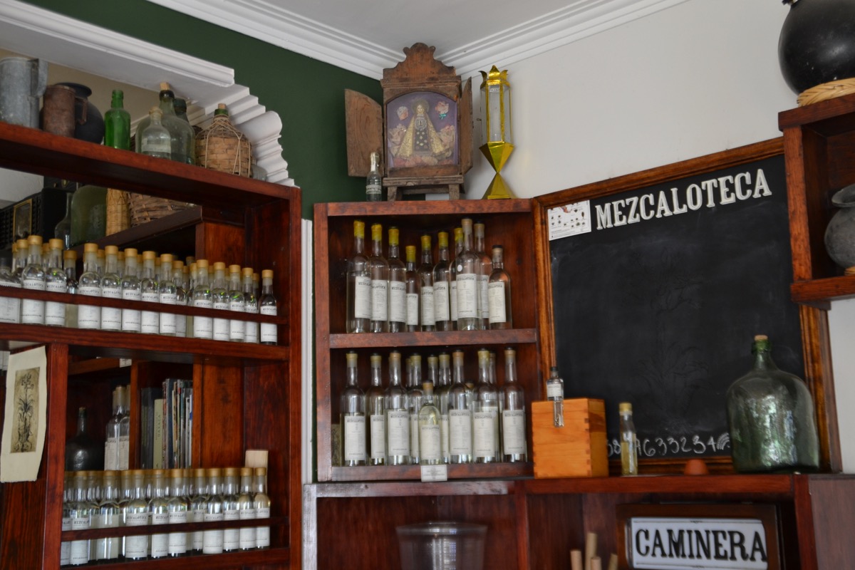 Mezcal bottles on a shelf
