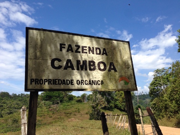billboard sign with the name Fazenda Camboa on it