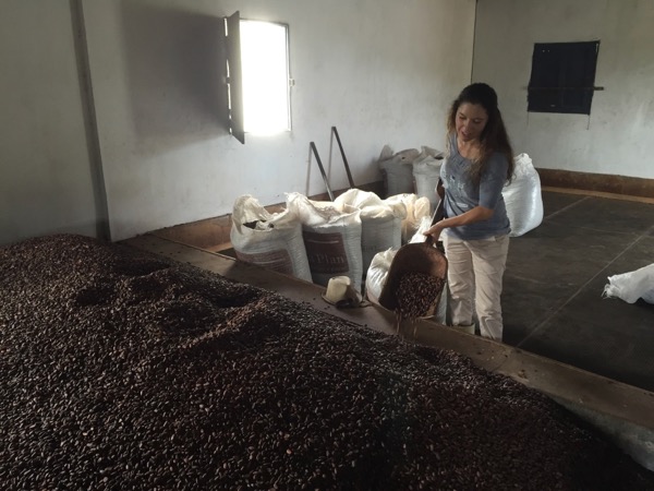 dried cocoa beans in a dark room