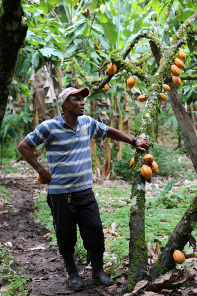 man standing next to a cocoa tree