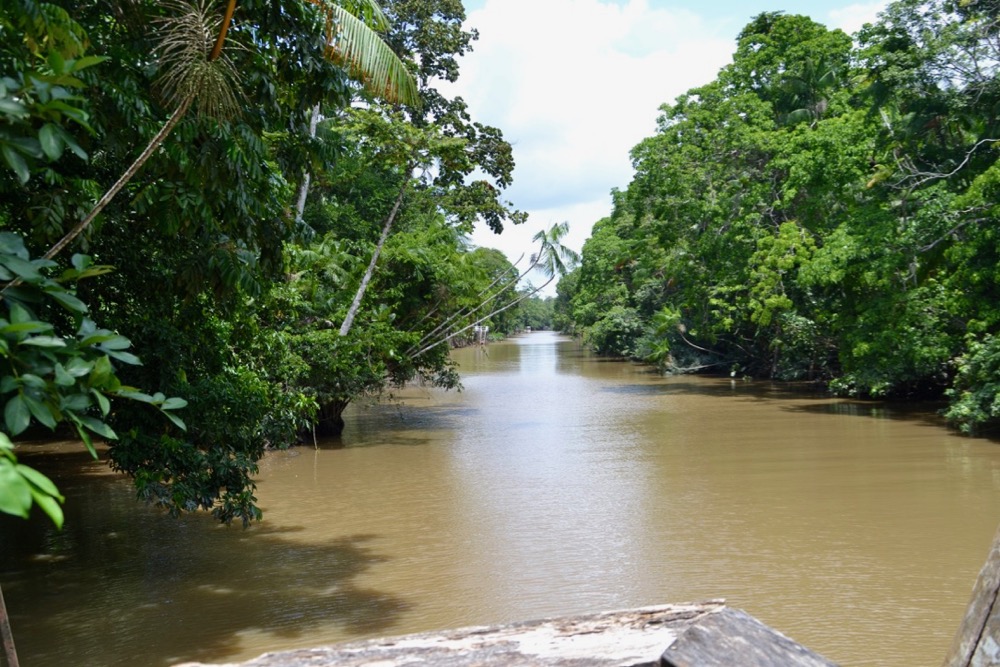 River in the amazon rainforest