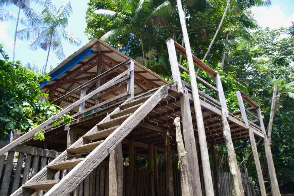 ladder leading up to house in the Amazon River
