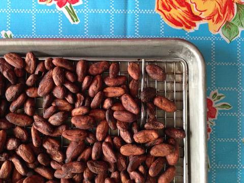 cacao beans on baking sheet