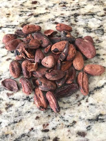 broken cocoa beans, flat cocoa bean, defective cocoa beans