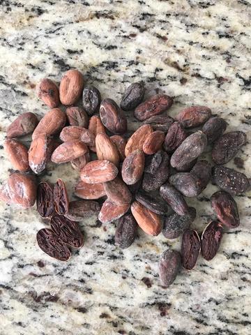 moldy or defective cacao beans