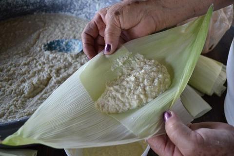 sweet corn tamales de elote pamonha