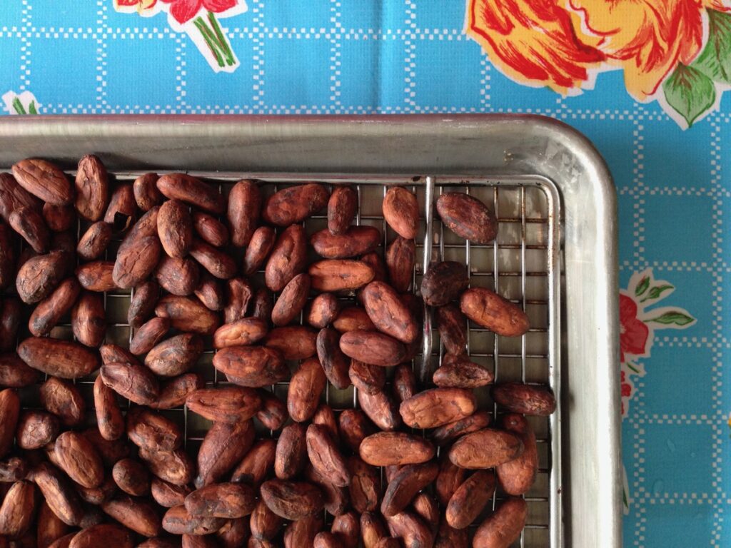 cocoa beans on a wire rack on top of sheet pan 