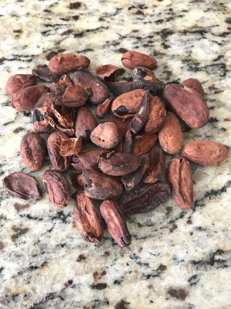 broken cacao beans 
